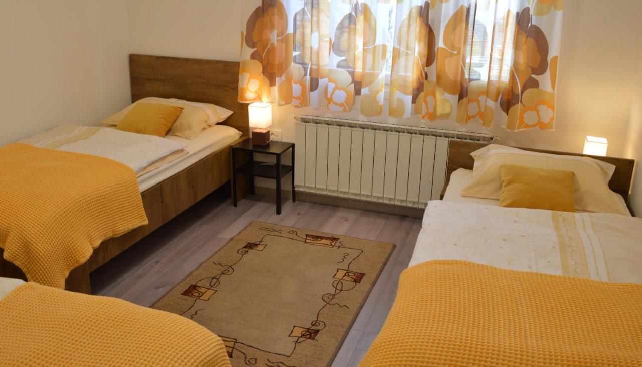 Apartma Vila Zigmund Cerknica Bagian luar foto