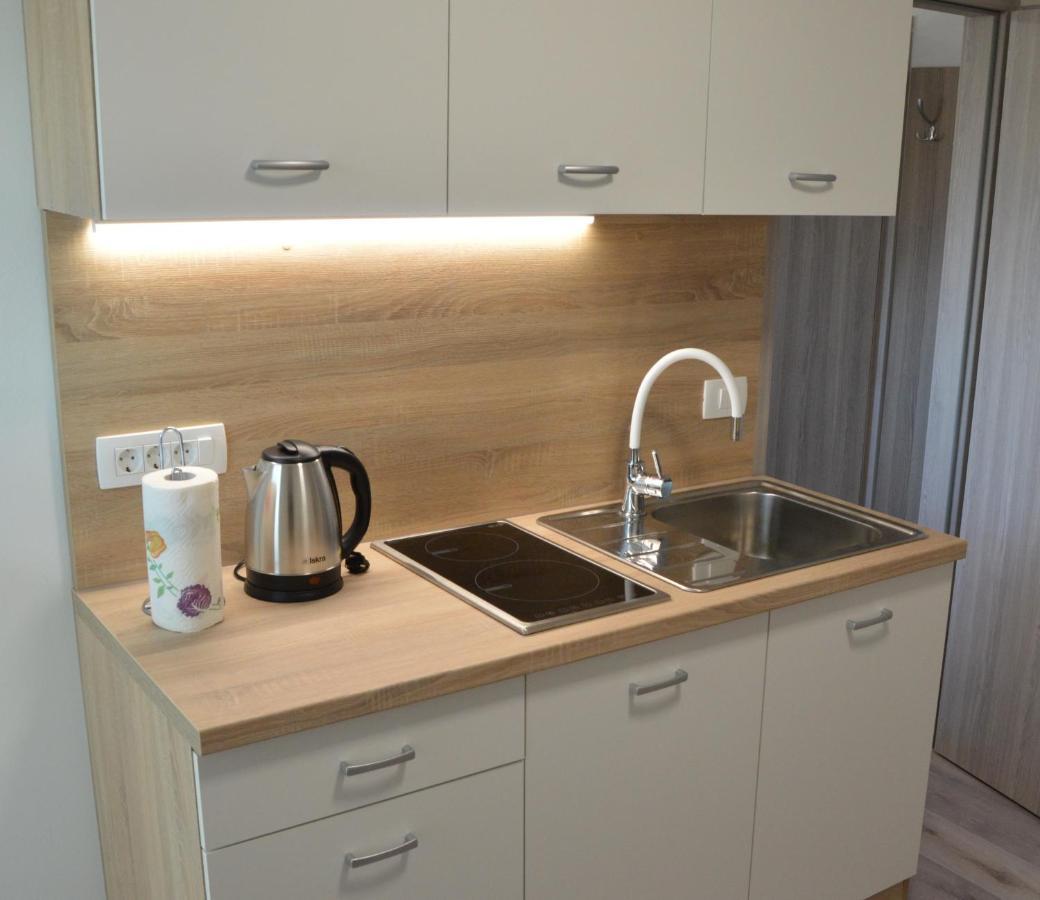 Apartma Vila Zigmund Cerknica Bagian luar foto
