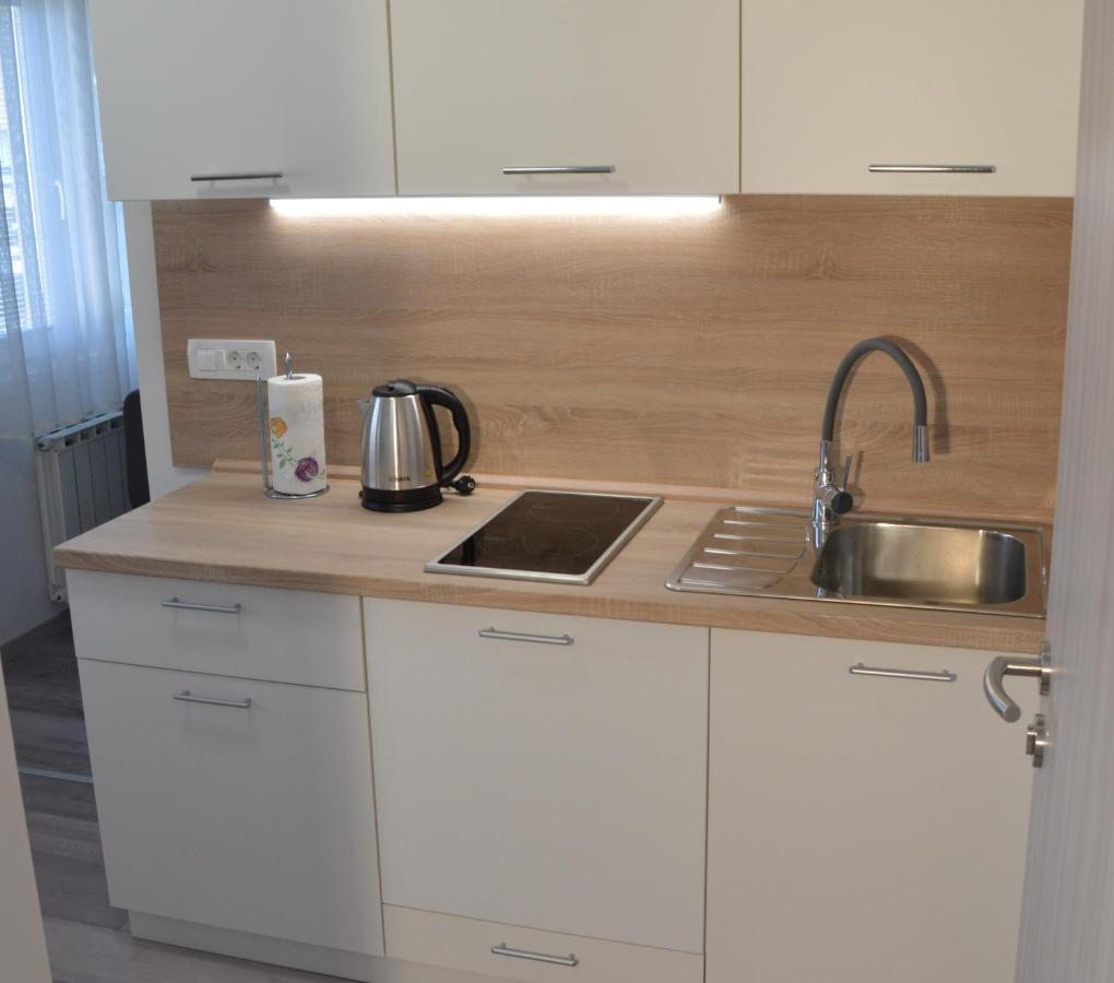 Apartma Vila Zigmund Cerknica Bagian luar foto