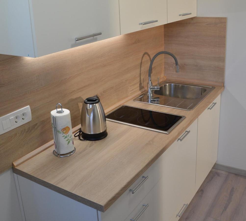 Apartma Vila Zigmund Cerknica Bagian luar foto